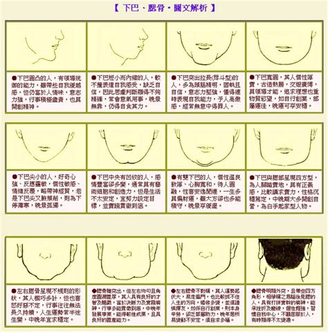 下巴面相學|关于下巴的面相学 下巴面相学代表什么